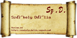 Székely Délia névjegykártya